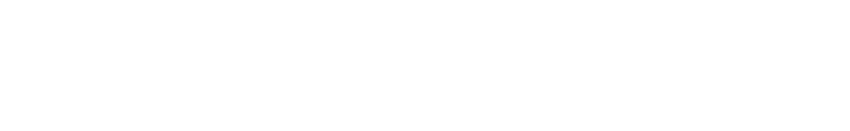 Service Robot Co. Reversed wordmark